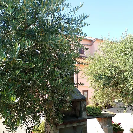 App Damiani * Oprtalj