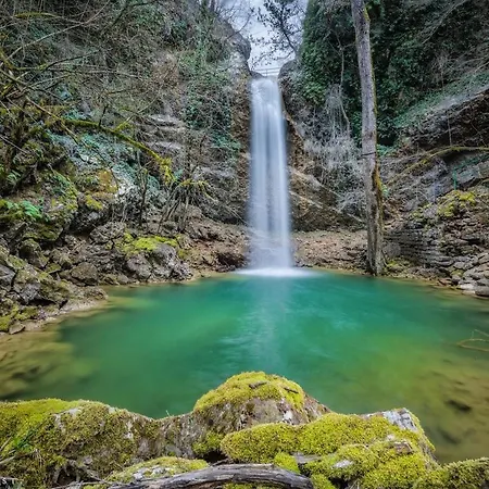 Apartment App Damiani