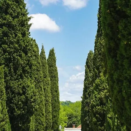 App Damiani Apartment