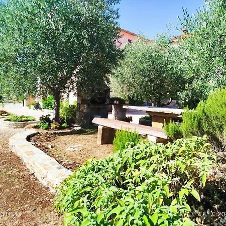 App Damiani * Oprtalj