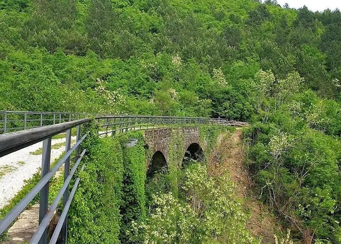 App Damiani Apartmán *