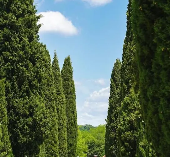 App Damiani Apartmán