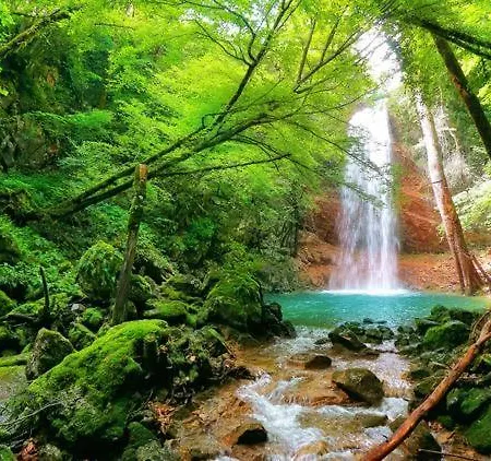 Διαμέρισμα App Damiani *