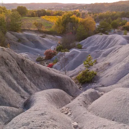 App Damiani Διαμέρισμα *