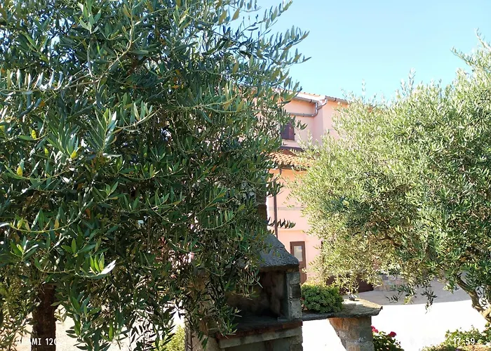 App Damiani * Oprtalj