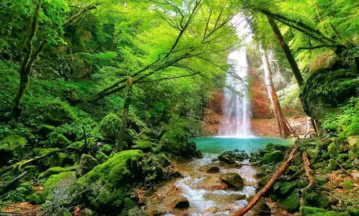 Lägenhet App Damiani *