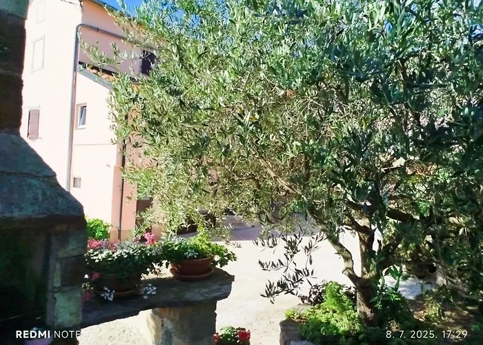 Appartement App Damiani